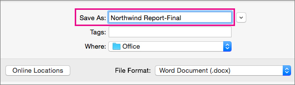 what is the best microsoft word file formar for mac
